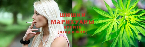 PSILOCYBIN Балабаново