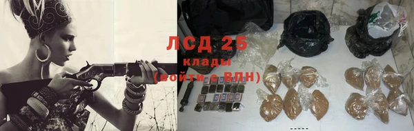 эйфоретик Баксан