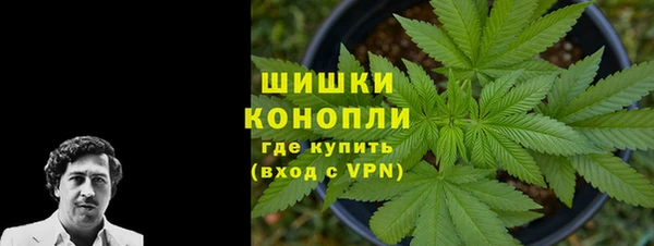 PSILOCYBIN Балабаново
