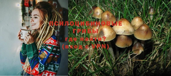 PSILOCYBIN Балабаново