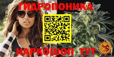 стаф Обнинск