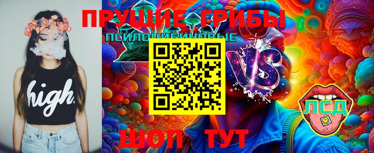 Галлюциногенные грибы GOLDEN TEACHER  Галлюциногенные грибы Cubensis  Вход с VPN  Соль-Илецк 